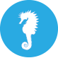 Aquarium Aquarium