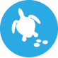 Turtle Nursery Turtle Nursery
